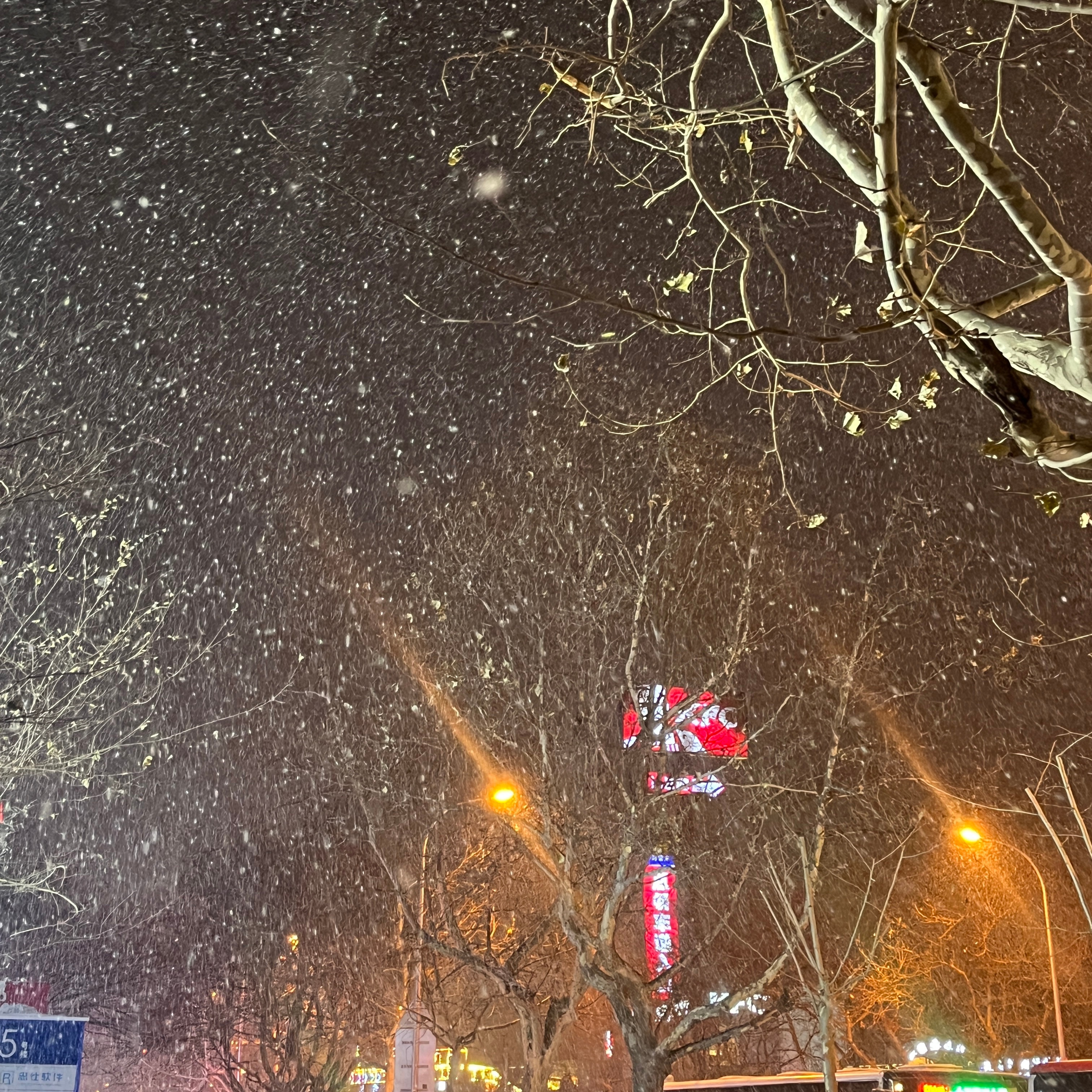 北京下雪了！实拍雪景美不胜收