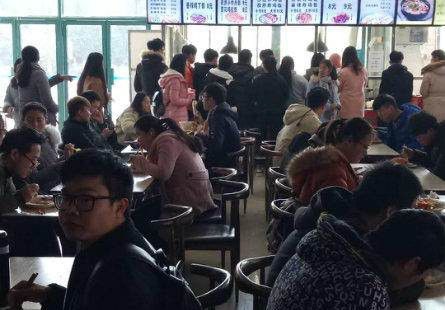 昆明长丰学校食堂承包商巨额罚款背后的食品安全事件深度剖析