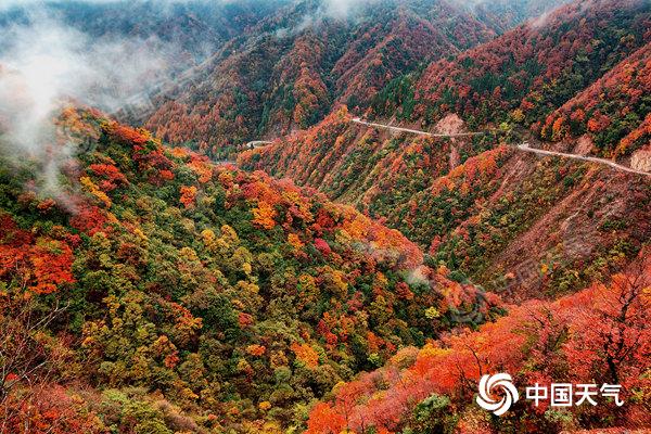 秋日温情之旅，全国赏红叶地图出炉