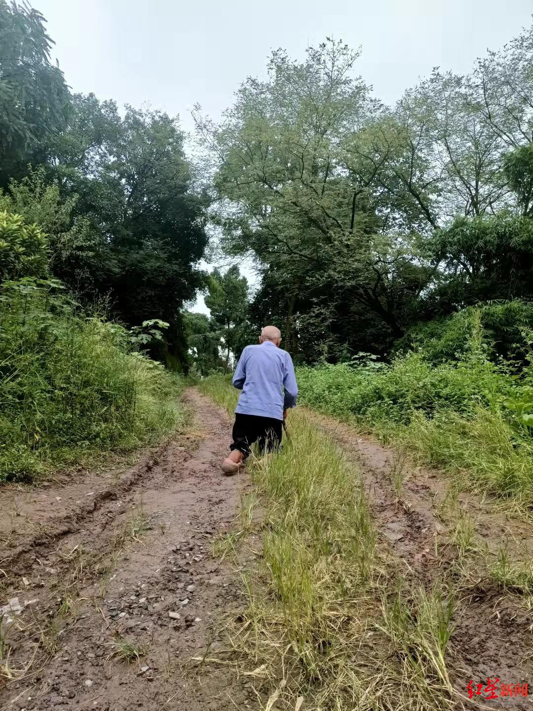 游客踩田拍照引发老人生气背后故事揭秘，小巷特色小店的探秘之旅