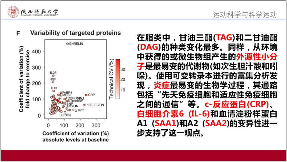 新澳门资料大全最新版本更新内容，绝对经典解释落实_HD46.21.40