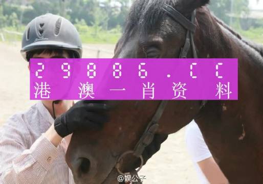 澳门最准一肖一码一码匠子生活，全面解答解释落实_GM版47.51.87