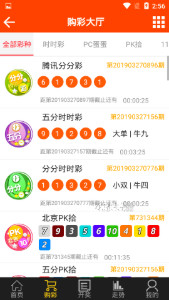 最准一码一肖100%精准老钱庄揭秘，全面解答解释落实_app84.25.83