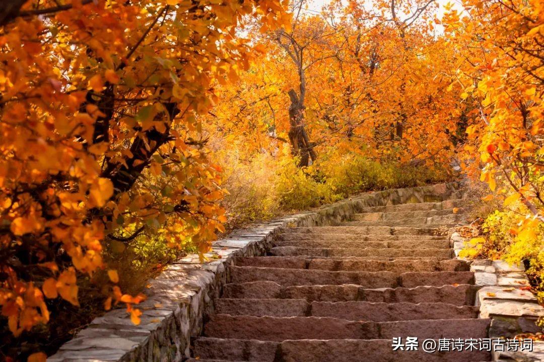 霜降时节寒意浓厚，冷霜凝结的季节