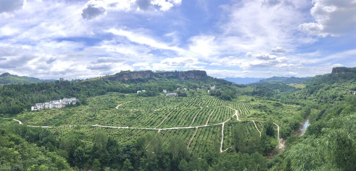 气温预报图像冻住背后的温馨日常故事