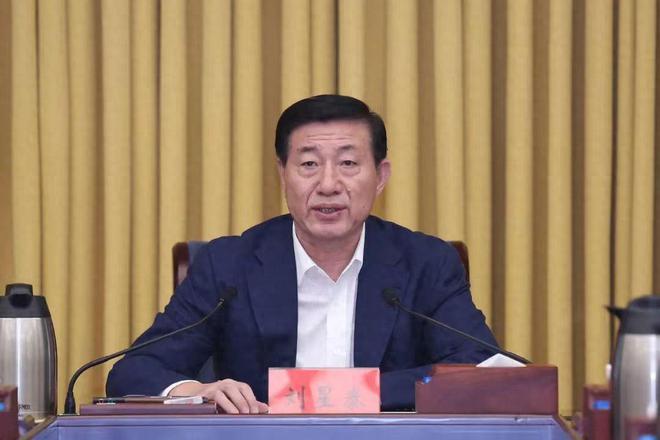 海南琼海市委书记田志强被带走，深度解读与案例分析