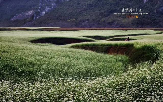 香格里拉无底湖徒步热潮中的小巷特色小店，绝对不能错过！