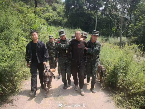 河北村庄刑案