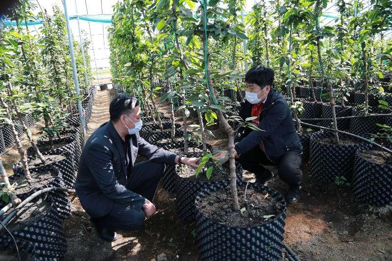 政策及时雨背后的重要信号，深度分析与观点阐述