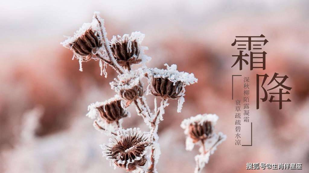 健康饮食建议与食谱分享