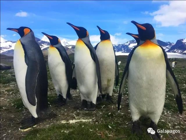科技奇迹之旅（南极至新西兰）