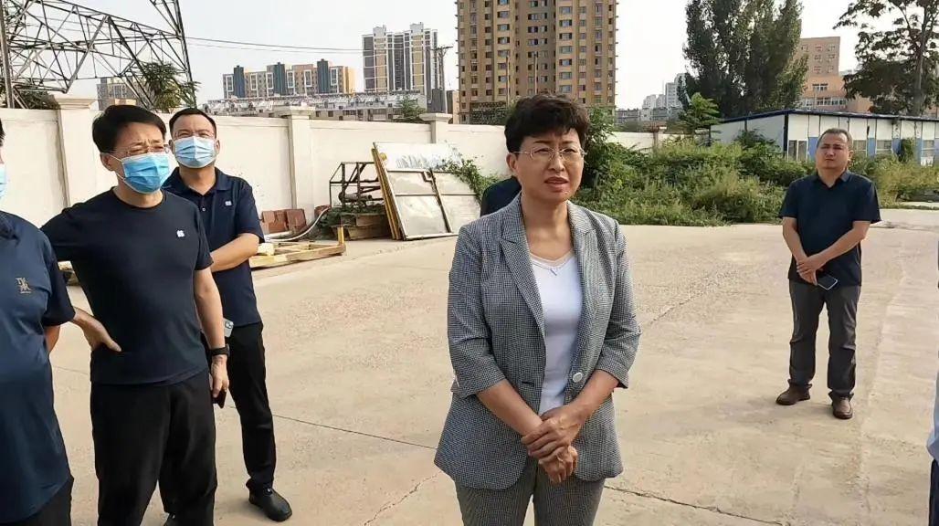 邢台邢东新区最新进展概况概述