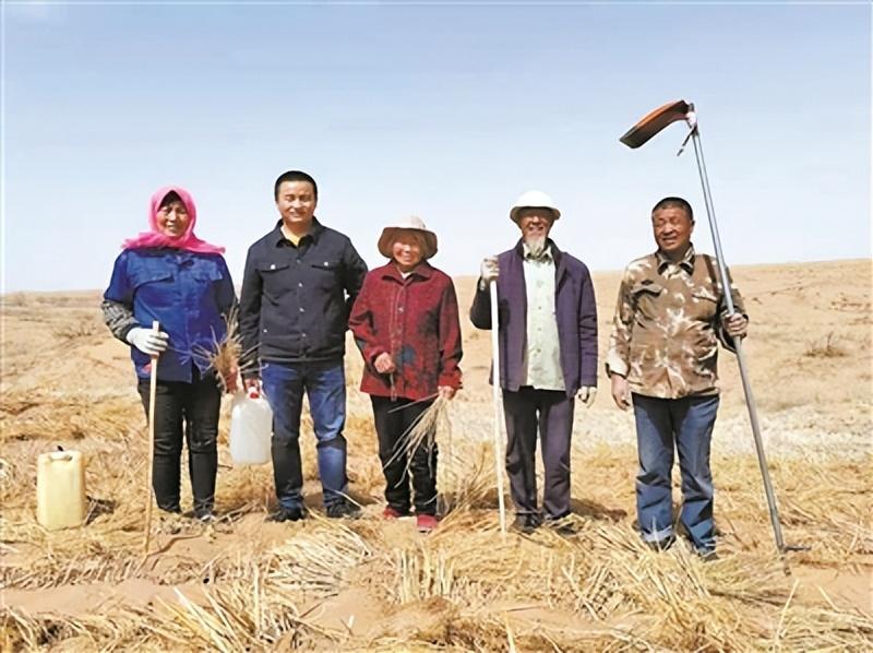 武威红柳广告最新招聘启事，探索自然美景，寻找内心平静之旅