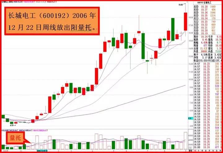 金蜘蛛最新招聘信息汇总