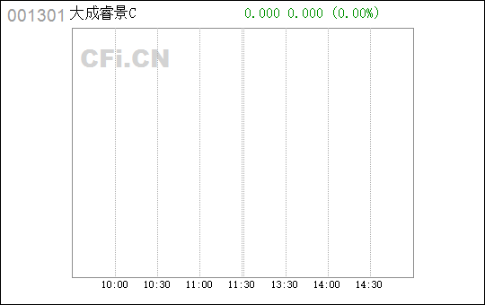 大成睿景最新净值，科技前沿投资先锋，引领未来生活新纪元