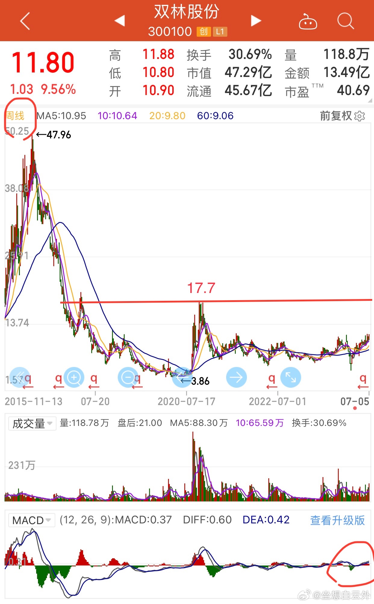 双林股份最新动态深度解析与观点阐述