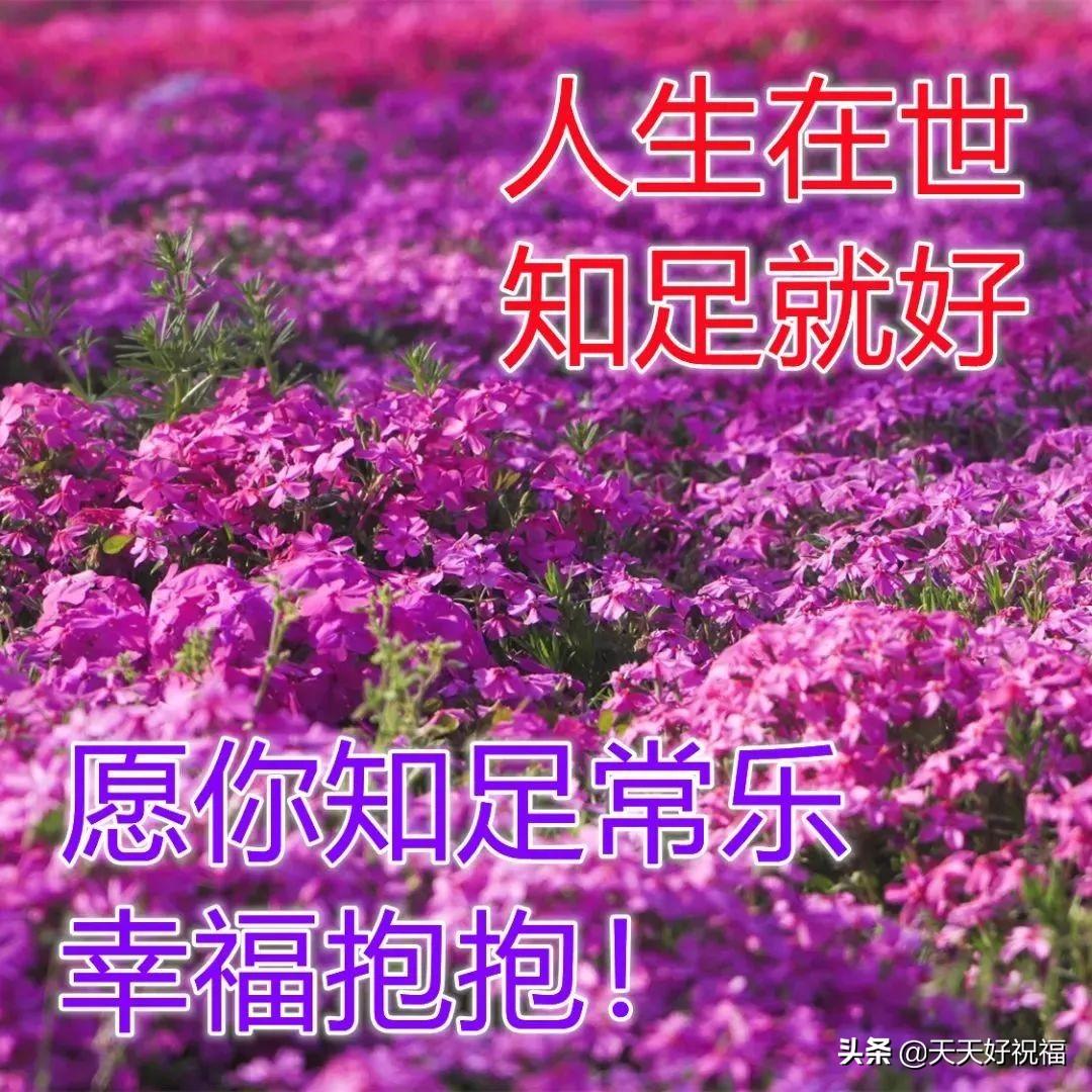 最新温馨故事，一天中的温情时刻