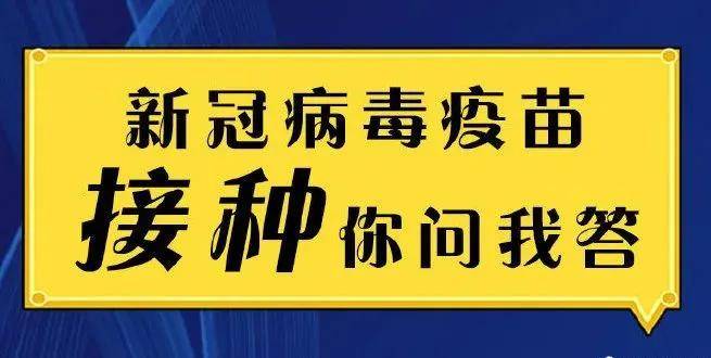 2024新澳正版资料最新更新,专家权威解答_装饰版70.460