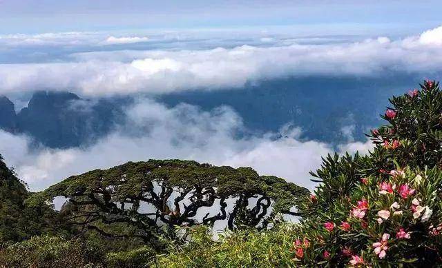 探索自然美景的轻松之旅，支扩最新资讯助你寻找内心平和与宁静