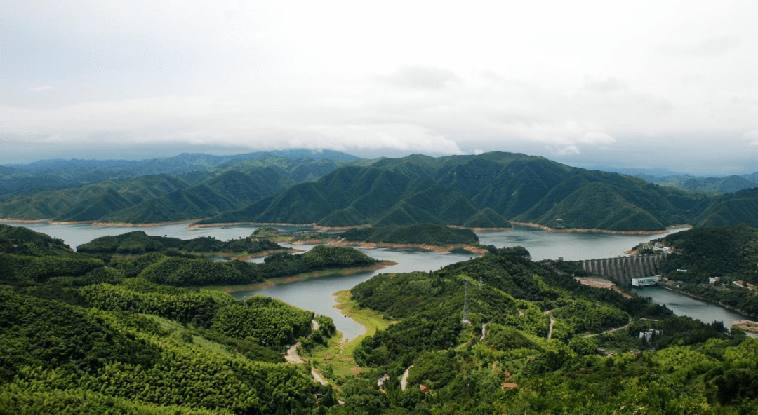 金寨最新新闻，自然美景探索之旅揭秘