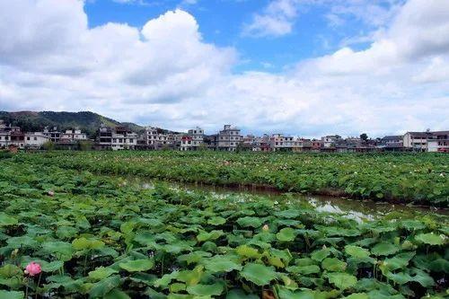 自然美景探索之旅，最新文字背景下的旅行体验