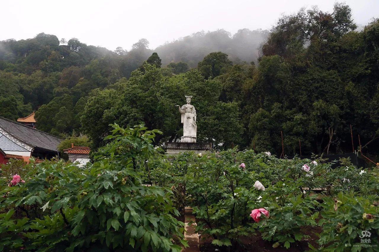 通天途最新，与自然美景的轻松邂逅之旅