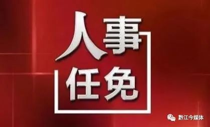 南江县最新人事任免动态及观点论述