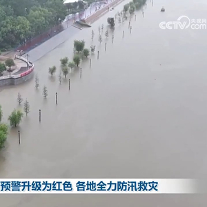 暴雨预警下的心灵之旅，探寻自然美景与内心宁静