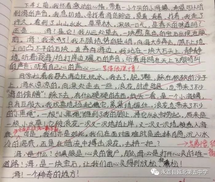 变化中的学习之旅，最新好听歌曲与自信旋律的交织