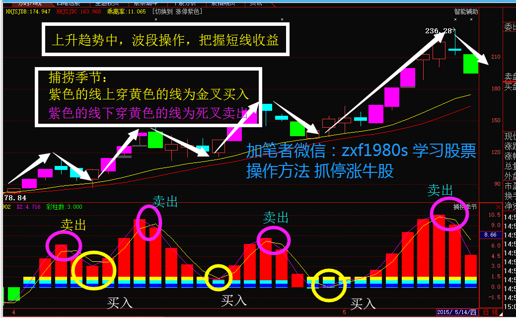 300503股票投资全攻略，初学者与进阶用户的投资步骤指南