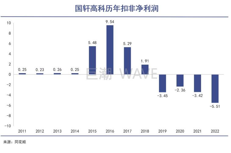 国轩高科股票股吧，小巷中的隐秘宝藏探究