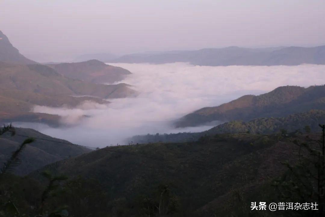 股份与股票，小巷中的宝藏探索之旅