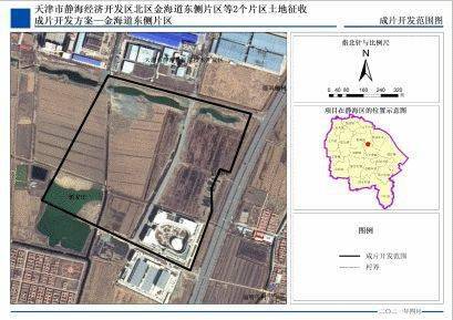 张宏良最新文章聚焦要点深度解析