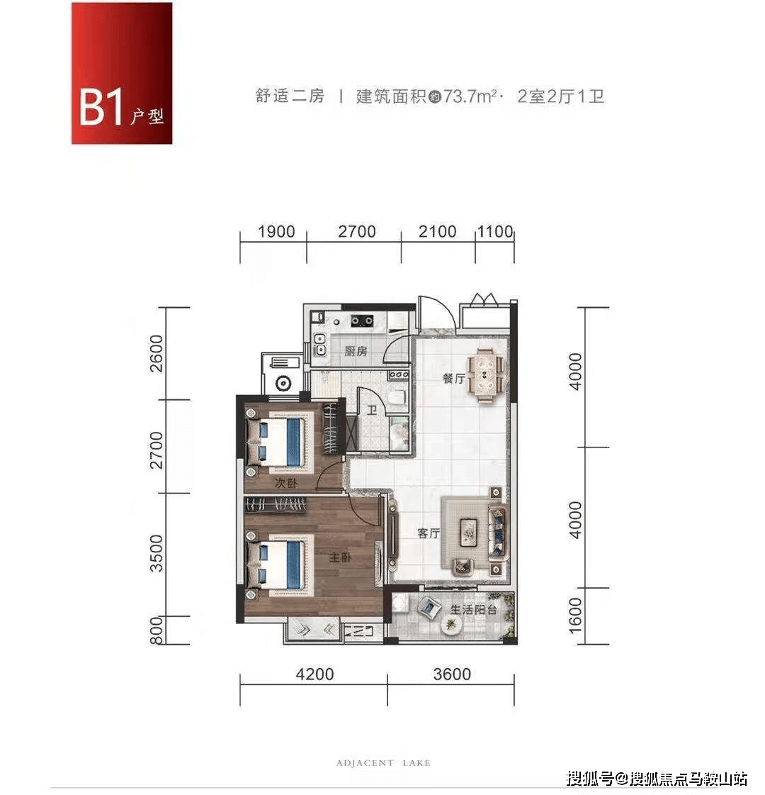 苏州赛伍最新招聘信息