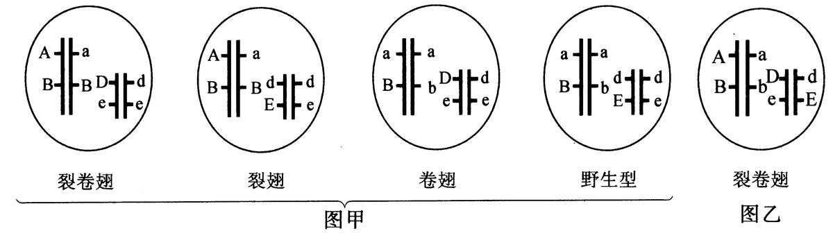 河北乙连生物科技引领未来，开启全新生活篇章的最新消息