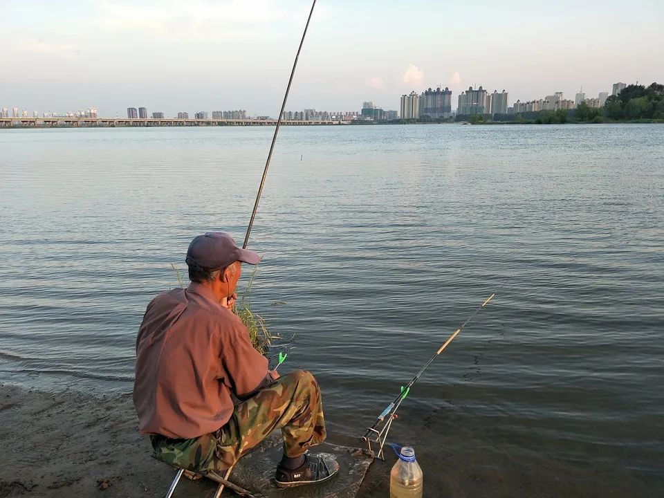 云鹏电站钓鱼最新动态，鱼获丰收与人生收获的喜悦体验