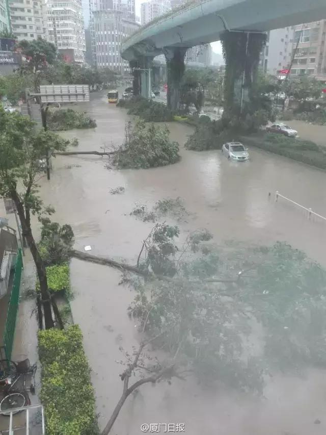 厦门台风最新动态，风雨中的励志故事与自信成就感