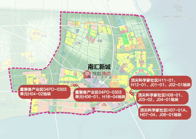 河北甘蓝最新价格，全面了解与获取指南