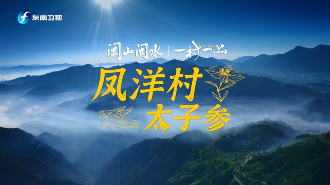 会东新闻联播最新报道，探索自然美景的旅行，追寻内心平和的旅程