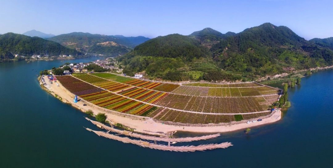 临湘市最新规划，探寻自然美景，寻求内心宁静的旅程