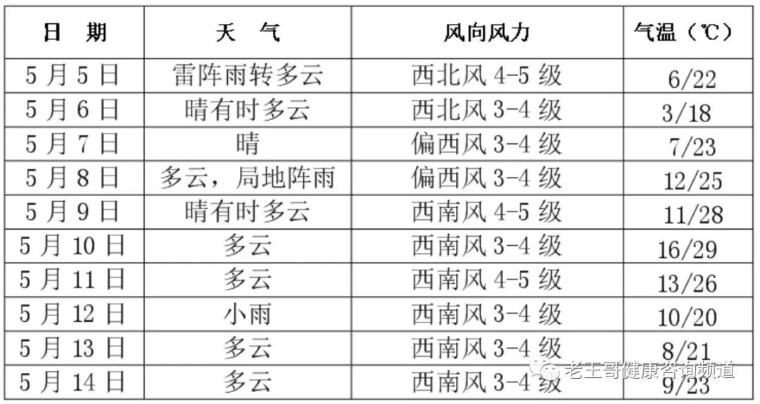 三肖三期必出特马,完善实施计划_轻量版51.149