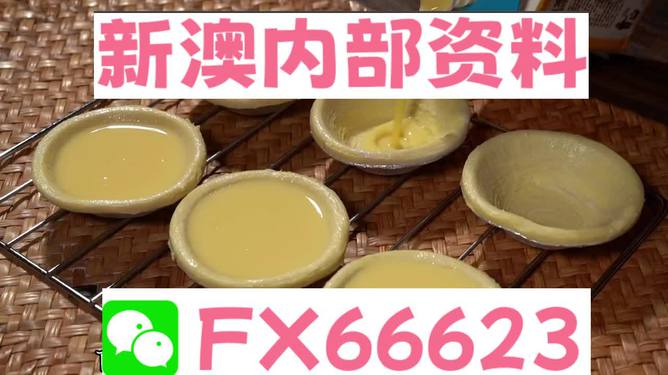 新澳精准资料免费提供最新版,社会责任实施_动态版51.492