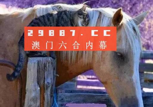 澳门一肖一码一特一中挂,案例实证分析_升级版51.678