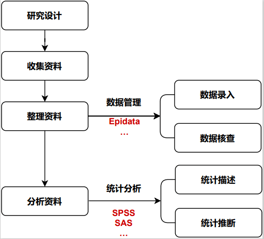 澳门雷锋精神论坛网站资料,实地观察数据设计_实验版51.933