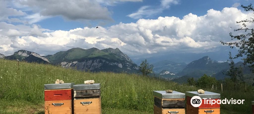 探索Bolezi最新地址，与自然美景的邂逅之旅