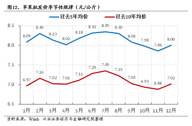 山东苹果最新价格行情及分析