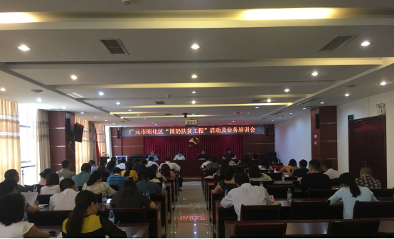 广元市昭化区最新工程，科技引领未来，重塑昭化新生活