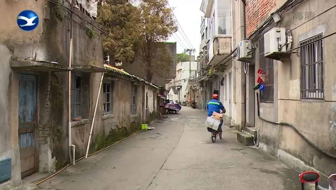 柯桥房屋出租最新动态，小巷深处的独特风情房源