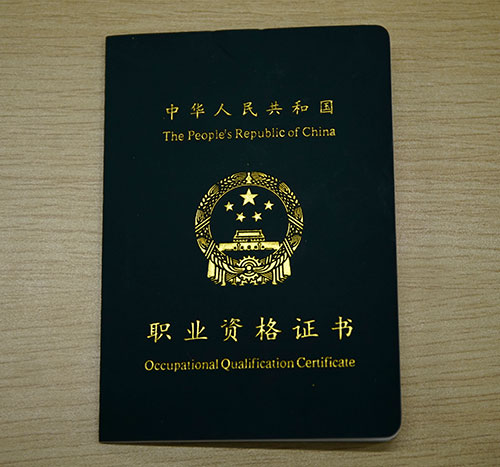 交通部教练证最新动态与温馨家园中的教练证故事