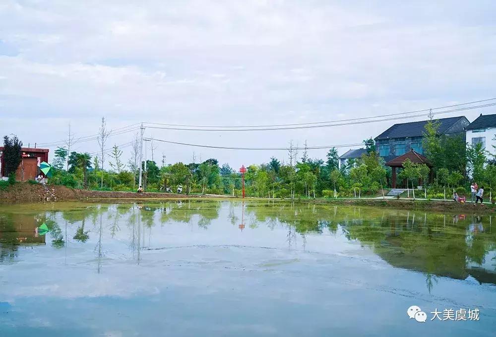 虞城县乔集乡新篇章，变化中的力量与学习魅力